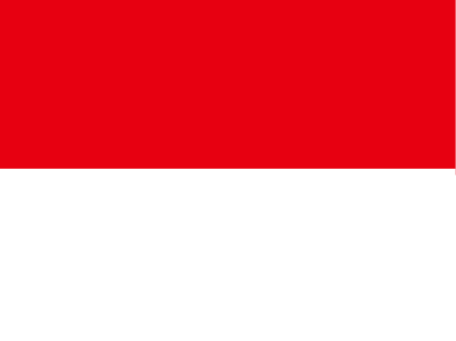 Icône drapeau indonésie pays à télécharger gratuitement
