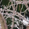 Icône météo pluie glacé à télécharger gratuitement