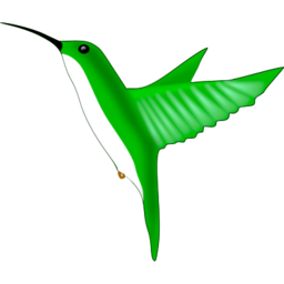 Icône vert animal oiseau mouche à télécharger gratuitement