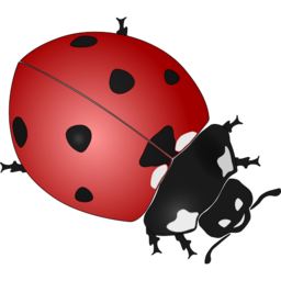Icône rouge point animal noir coccinelle insecte à télécharger gratuitement