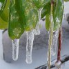 Icône météo pluie glacé verglas à télécharger gratuitement