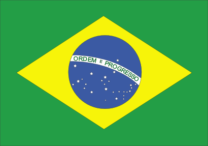Icône drapeau brésil pays à télécharger gratuitement