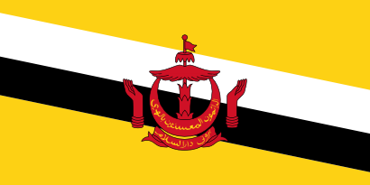 Icône drapeau brunei pays à télécharger gratuitement