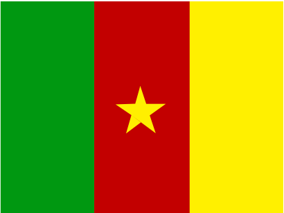 Icône drapeau cameroun pays à télécharger gratuitement