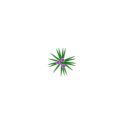 Icône rond vert violet étoile à télécharger gratuitement