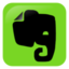 Icône réseau social evernote à télécharger gratuitement