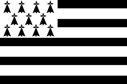 Icône noir blanc drapeau france à télécharger gratuitement