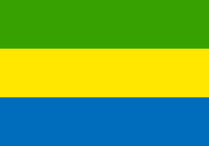 Icône drapeau gabon pays à télécharger gratuitement