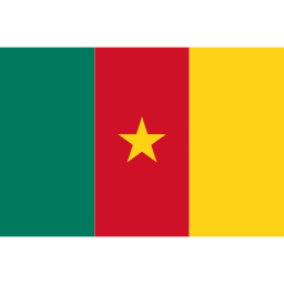 Icône drapeau cameroun à télécharger gratuitement
