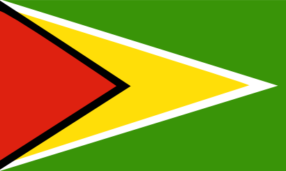 Icône drapeau guyane pays à télécharger gratuitement