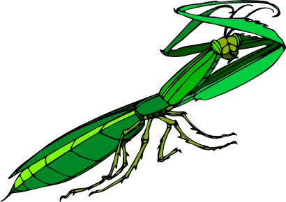 Icône vert animal insecte à télécharger gratuitement