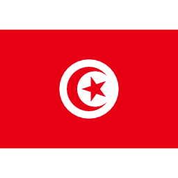 Icône drapeau tunisie à télécharger gratuitement