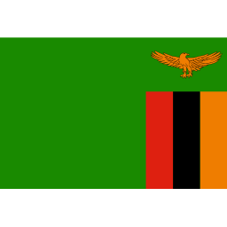 Icône drapeau zambie à télécharger gratuitement